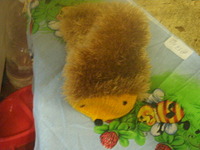 click for enlarge 1920 X 1440 860.7 Kb picture