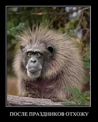 click for enlarge 596 X 736 95.0 Kb picture