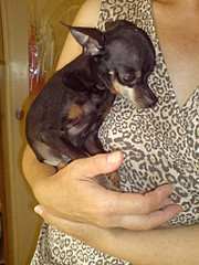 click for enlarge 1536 X 2048 693.3 Kb picture