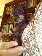 click for enlarge 1536 X 2048 641.4 Kb picture