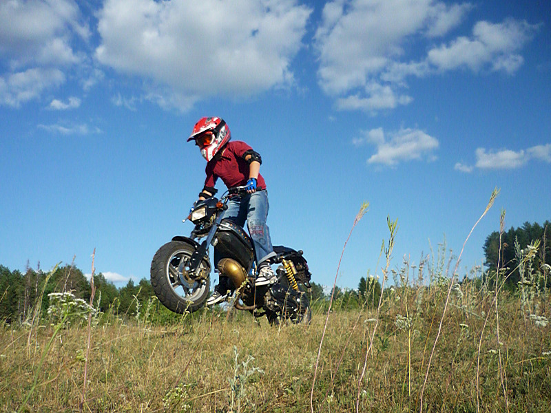 click for enlarge 1600 X 1200 1017.6 Kb picture