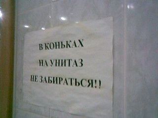 click for enlarge 400 X 300  16.4 Kb picture