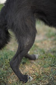click for enlarge 681 X 1024 114.2 Kb picture