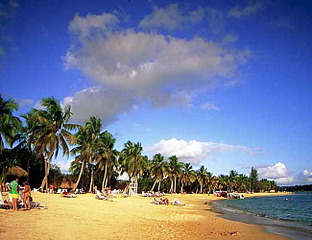 click for enlarge 650 X 499 81.9 Kb picture