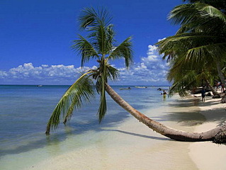 click for enlarge 700 X 525 99.9 Kb picture