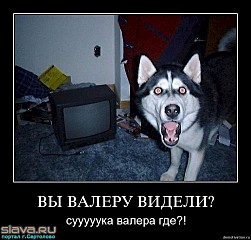 click for enlarge 502 X 480 48.4 Kb picture