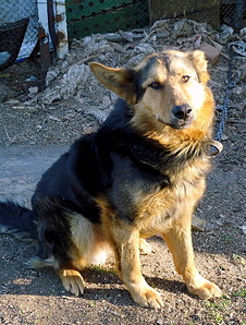 click for enlarge 605 X 800 233.6 Kb picture