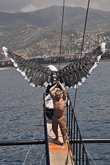 click for enlarge 1424 X 2144 776.3 Kb picture