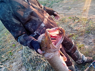 click for enlarge 1920 X 1440 961.6 Kb picture