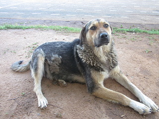 click for enlarge 1920 X 1440 887.4 Kb picture