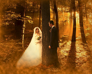 click for enlarge 1920 X 1535 992.3 Kb picture