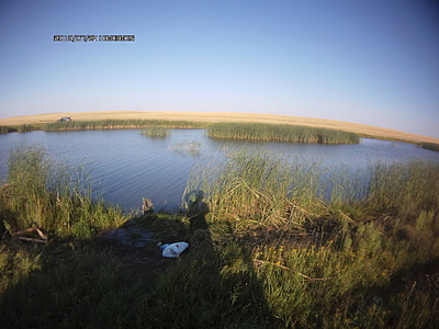 click for enlarge 1920 X 1440 268.1 Kb picture