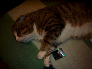 click for enlarge 1920 X 1440 469.5 Kb picture