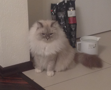 click for enlarge 897 X 729 711.7 Kb picture