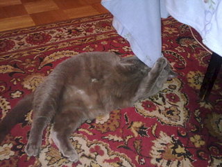 click for enlarge 1920 X 1440 377.5 Kb picture