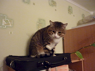 click for enlarge 1920 X 1440 630.4 Kb picture