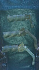 click for enlarge 1840 X 3264 990.8 Kb picture