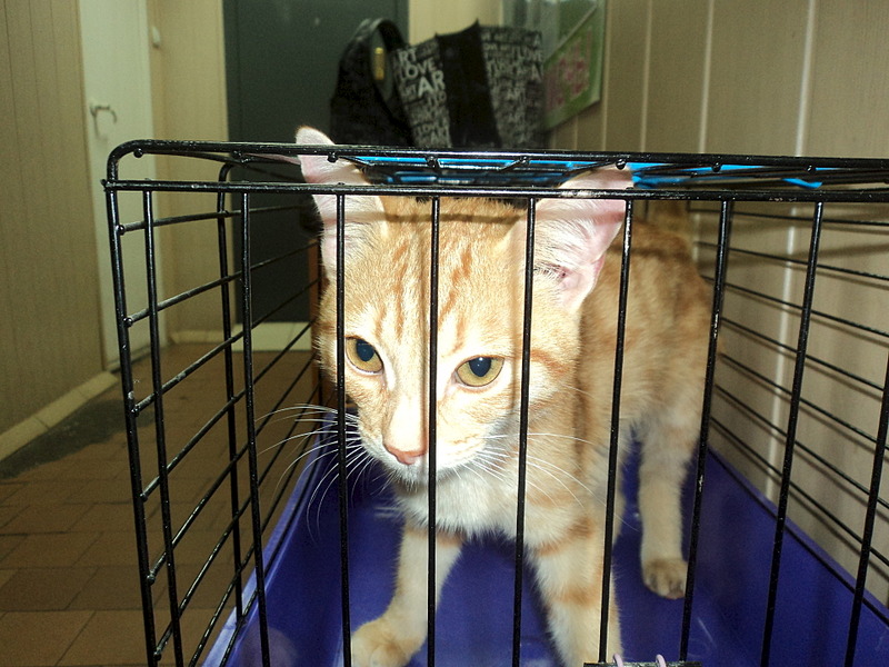 click for enlarge 1920 X 1440 628.3 Kb picture