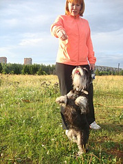 click for enlarge 235 X 314 52.3 Kb picture