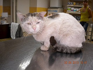 click for enlarge 807 X 605 83.1 Kb picture