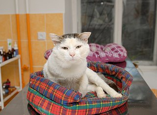 click for enlarge 807 X 594 77.1 Kb picture