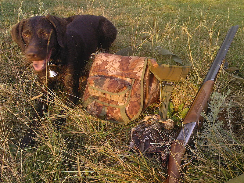 click for enlarge 1024 X 768 332.8 Kb picture