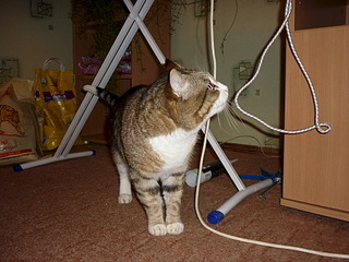 click for enlarge 1920 X 1440 775.4 Kb picture