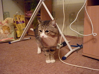 click for enlarge 1920 X 1440 708.4 Kb picture