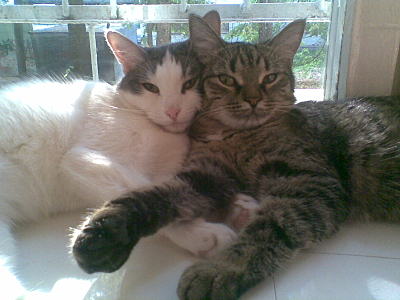 click for enlarge 1600 X 1200 226.8 Kb picture