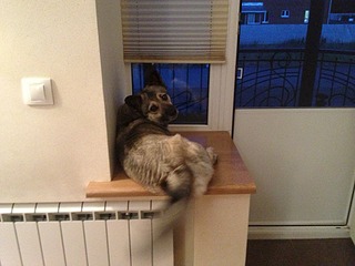 click for enlarge 1920 X 1440 718.7 Kb picture