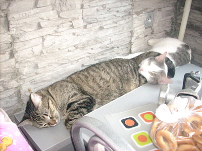 click for enlarge 1920 X 1440 593.0 Kb picture