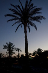 click for enlarge 1920 X 2889 331.6 Kb picture