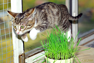 click for enlarge 1795 X 1205 269.4 Kb picture