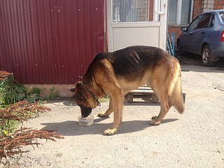 click for enlarge 1920 X 1440 842.1 Kb picture