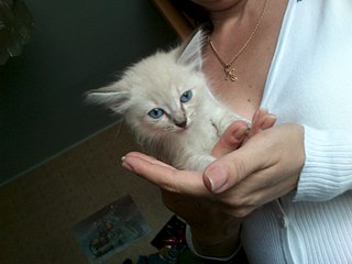 click for enlarge 1920 X 1440 243.0 Kb picture