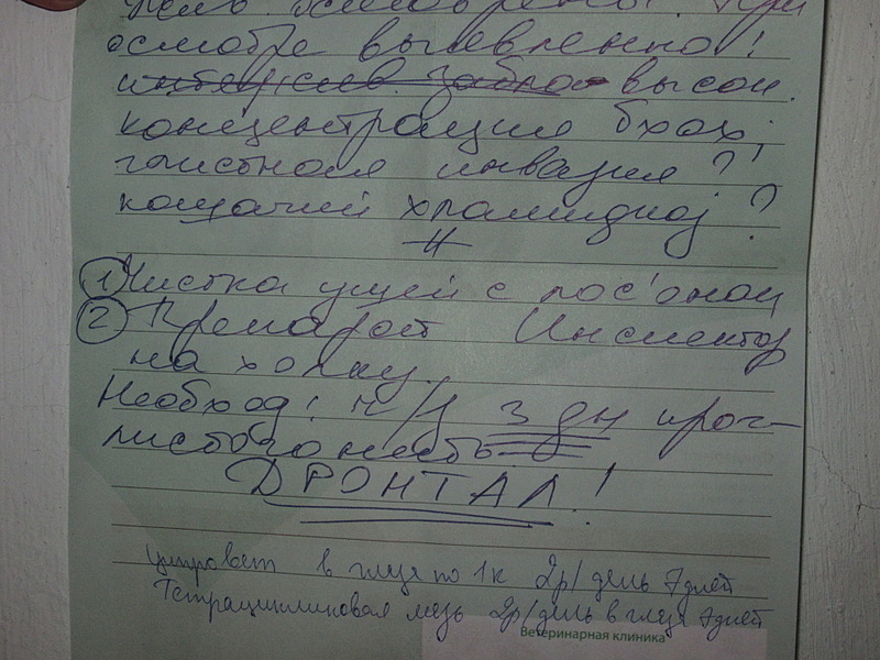 click for enlarge 1920 X 1440 678.4 Kb picture