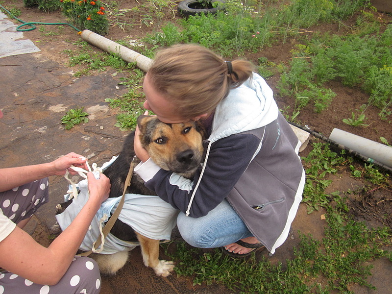 click for enlarge 1920 X 1440 836.6 Kb picture