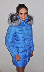 click for enlarge 184 X 300 37.8 Kb picture