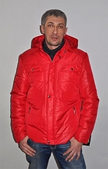 click for enlarge 193 X 300 41.6 Kb picture