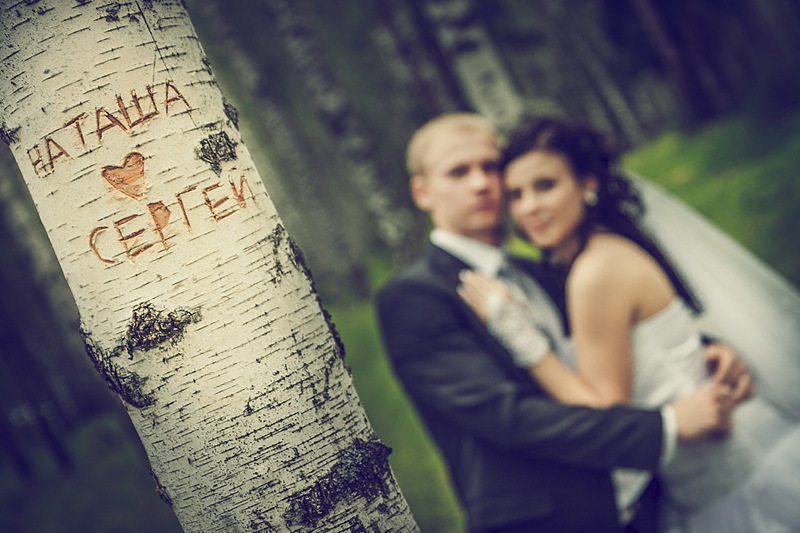 click for enlarge 1920 X 1280 511.9 Kb picture