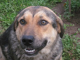 click for enlarge 1280 X 960 207.3 Kb picture