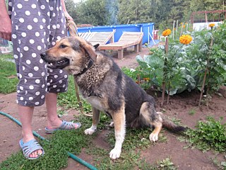 click for enlarge 1280 X 960 278.5 Kb picture