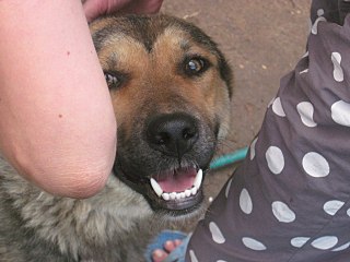 click for enlarge 1280 X 960 173.2 Kb picture