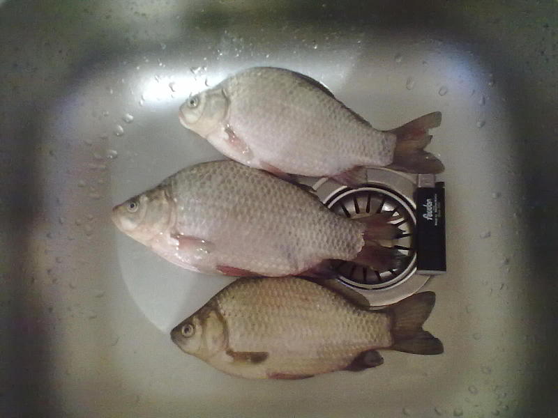 click for enlarge 1600 X 1200 135.0 Kb picture