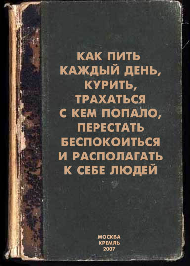 384 x 537