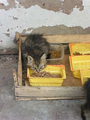 click for enlarge 767 X 1022 207.8 Kb picture