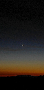 click for enlarge 500 X 1024 269.9 Kb picture