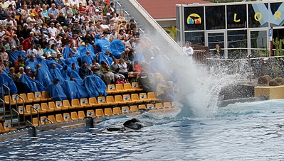 click for enlarge 1024 X 582 433.1 Kb picture