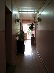 click for enlarge 1920 X 2560 710.1 Kb picture