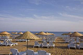 click for enlarge 800 X 533 48.2 Kb picture